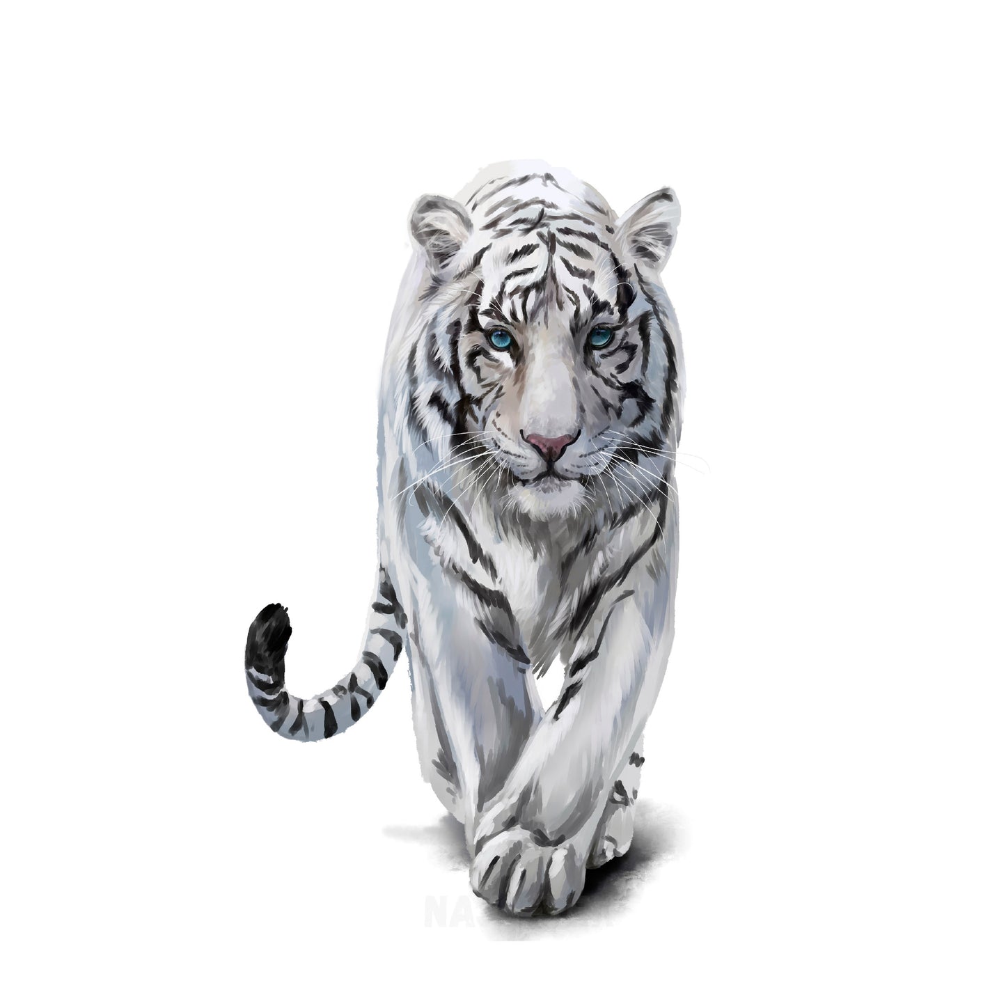 Panela M - Beli tiger