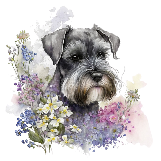 Dtf preslikač - Schnauzer