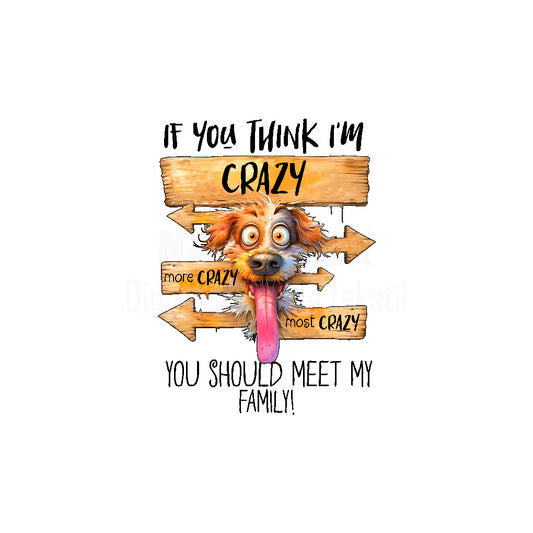 Panela - Crazy